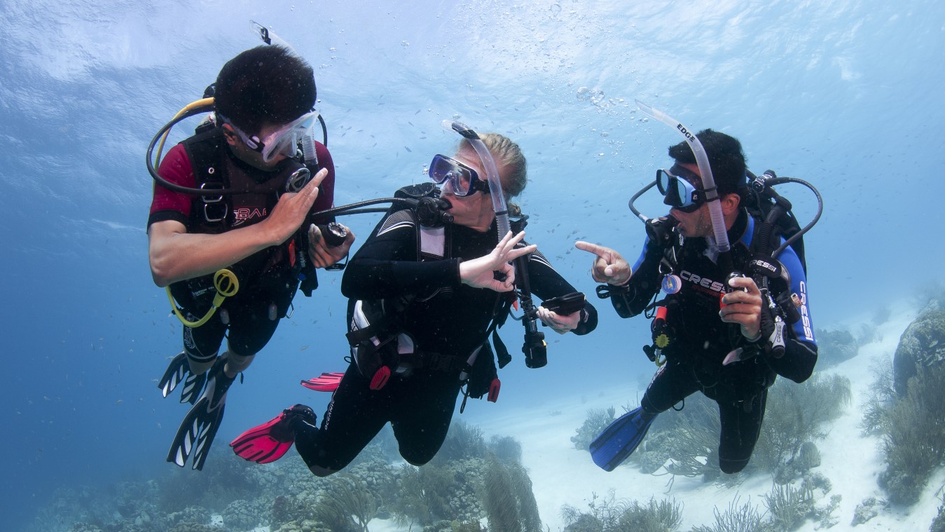 Master Instructor-1349x759